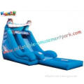 Child, Toddler Outside Toys Outdoor Inflatable Water Slides